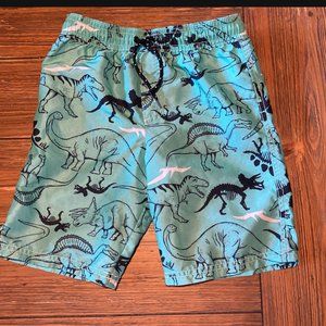 Carter's Swimming Trunks Size 7